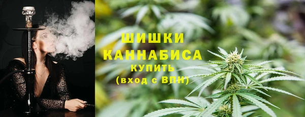 мдпв Каменногорск