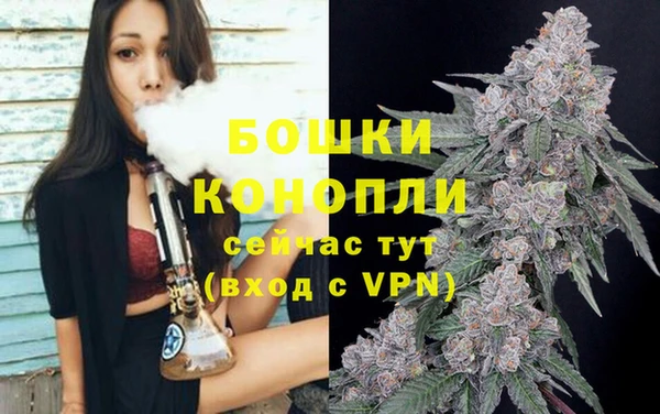 apvp Каменка