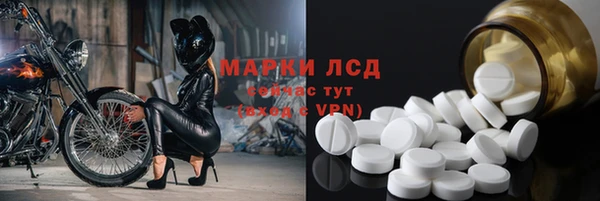 мдпв Каменногорск
