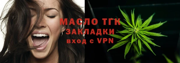 apvp Каменка