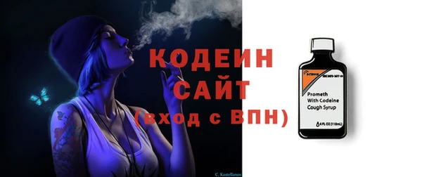 мдпв Каменногорск