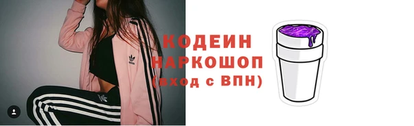 мдпв Каменногорск