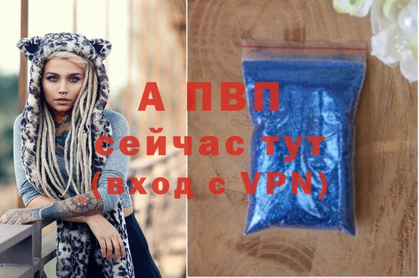 apvp Каменка