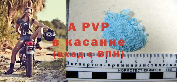 apvp Каменка