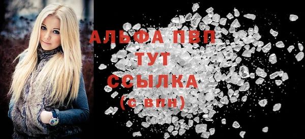 apvp Каменка