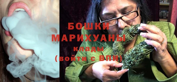 мдпв Каменногорск