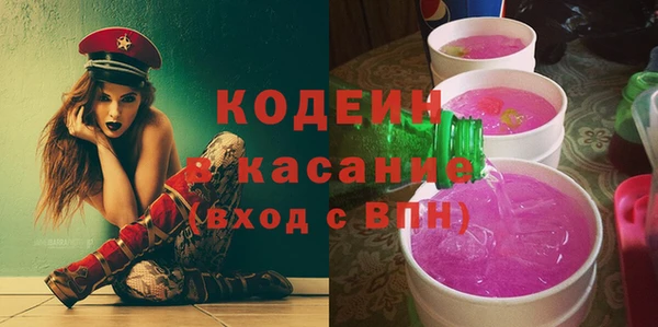 apvp Каменка
