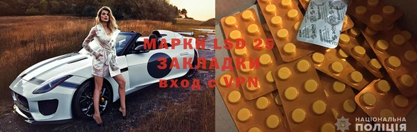 apvp Каменка