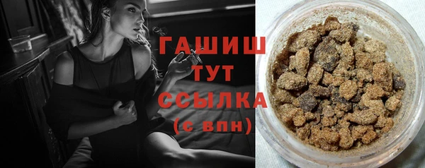 мдпв Каменногорск