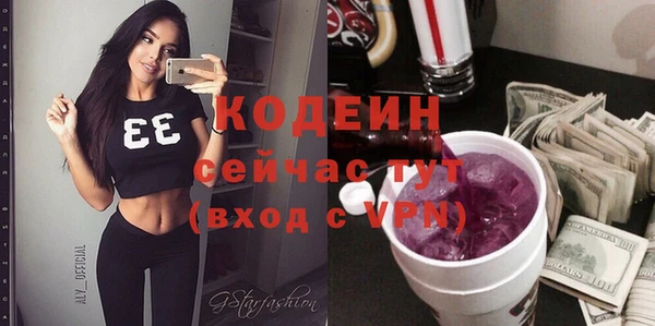 apvp Каменка