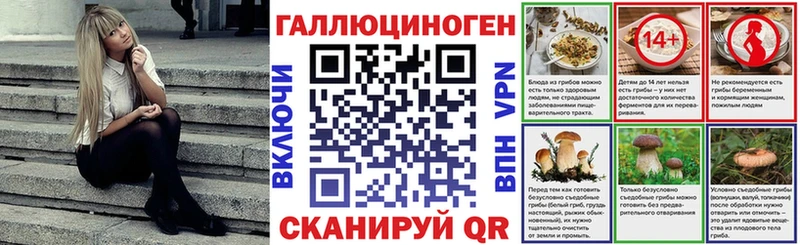 ссылка на мегу ТОР Россошь Псилоцибиновые грибы Cubensis
