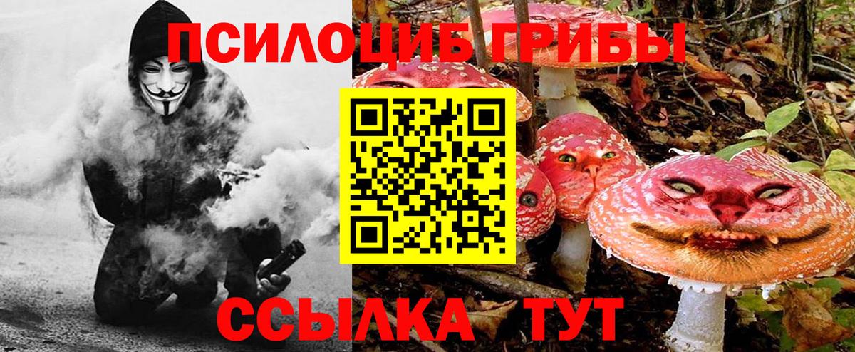 Псилоцибиновые грибы Psilocybe Россошь