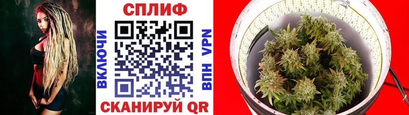 Канабис индика  Россошь 